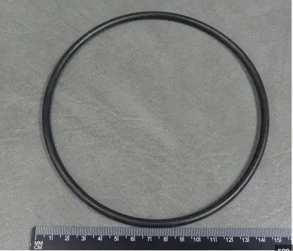 O-Ring for Waterway Pressurized Filter Canister Lid